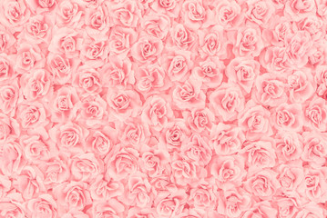 Soft focut of pink Artificial Rose