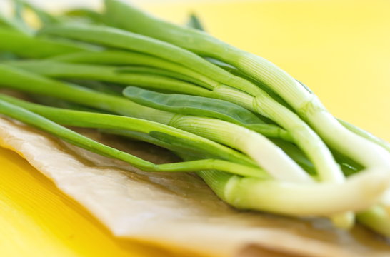 Spring onion on yellow background