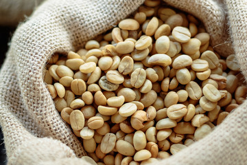Green coffee bean in in burlap bags