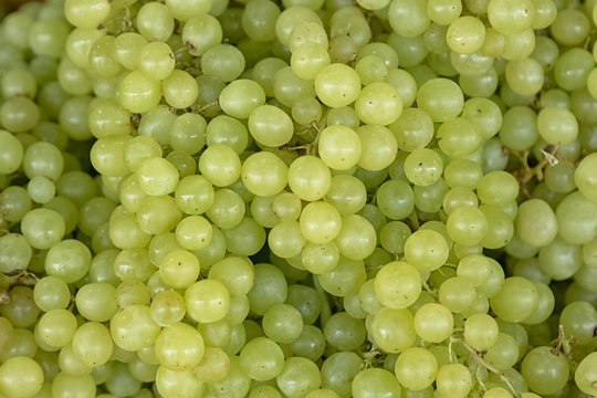 Fresh Green Wine Grapes Background