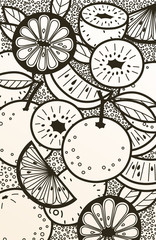 Black and white doodle background of oranges, kiwi fruits and leaves. Hand drawn vector pattern