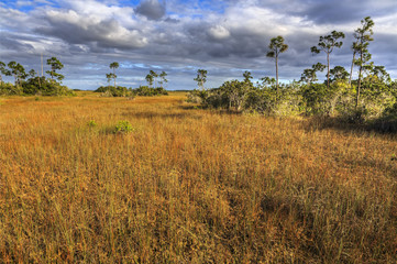 Overcast sky over Everglades marsh fields