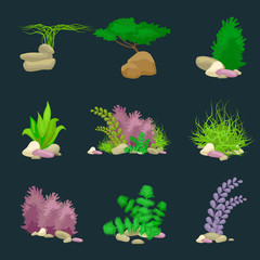 Set isolated colorful corals and algae, Vector underwater flora, fauna.
