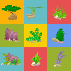 Set isolated colorful corals and algae, Vector underwater flora, fauna.