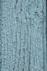 Old wood planks. Grunge table top or floor