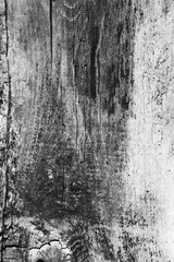 Obraz premium Old wood planks. Grunge table top or floor