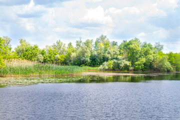 landscape river Dnieper marshes and Kherson