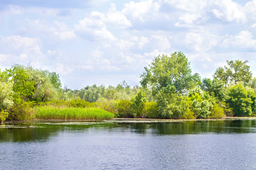Fototapeta na wymiar landscape river Dnieper marshes and Kherson