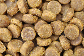 dry cat food as background