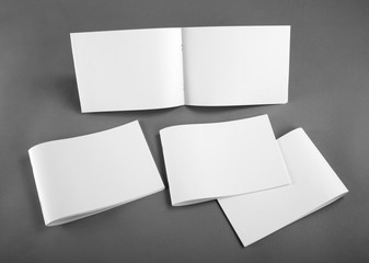 Blank catalog, brochure, magazines, book mock up