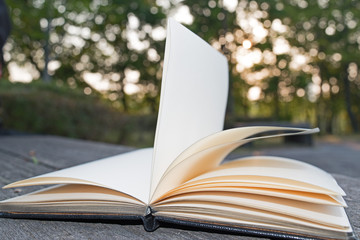 Open book on wooden bench background sunrise