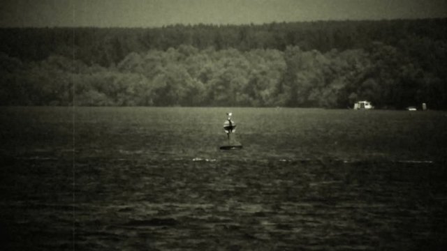 Retro, 1950's old camera footage of a bove