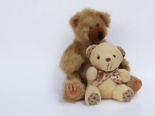 Obraz premium Teddy Bear