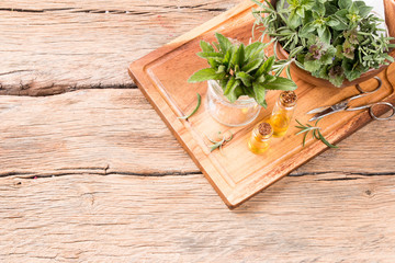 Herbs on wooden background. Mint, thyme, balm and other medicinal herbs