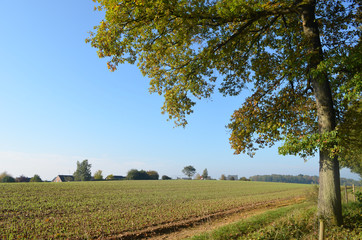 Woman and girl walking on trail through rural landscape with meadows and fields on rolling hills in Wallonia on sunny autumn day, Durnal, Yvoir