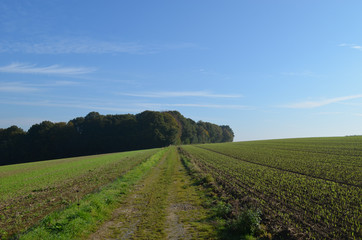 Fototapeta na wymiar Trail through rural landscape with trails, meadows and fields on rolling hills in Wallonia on sunny autumn day, Durnal, Yvoir