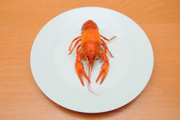 Boiled crayfish