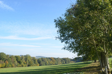 Fototapeta na wymiar Line of trees in green rural landscape in hills in Wallonia on sunny autumn day, Durnal, Yvoir
