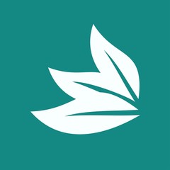 Eco icon leaf vector illustration isolated