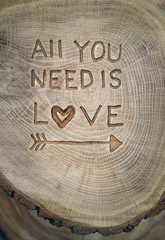 All you need is Love. The inscription on the tree. Background fo