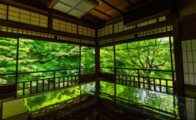 京都　新緑の瑠璃光院