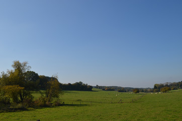 Fototapeta premium Rural area with autumn trees and green meadows on rolling hills, Yvoir, Wallonia