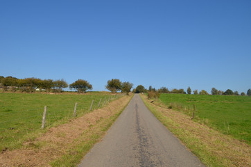 Fototapeta na wymiar Asphalt road through rural area with trees and green meadows, Yvoir, Wallonia