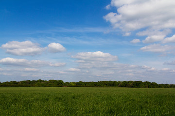 View over the Chilterns landscape in England