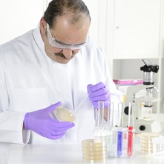 Laborant mit Wattestäbchen Swab