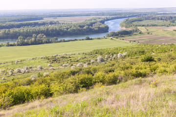 Obraz premium green river valley