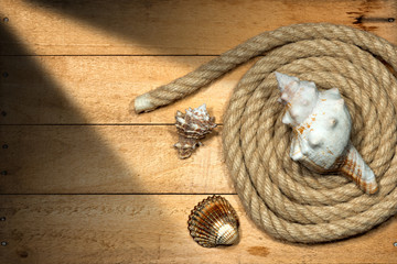 Rope and Seashells on Wooden Background