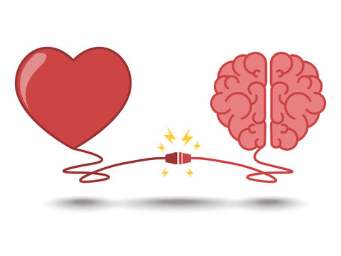 brain and heart interactions concept best teamwork