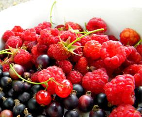 Close up photo of different  berries