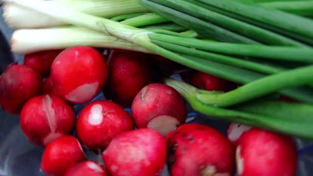 Radishes and spring onion
