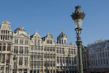 Fototapeta na wymiar Zunfthäuser auf dem grossen Markt in Brüssel, Belgien