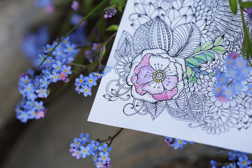 AntiStress Adult coloring book with natural forget-me-not flowers