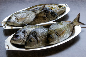 Marine fish fresh in the oval stainless steel plates
