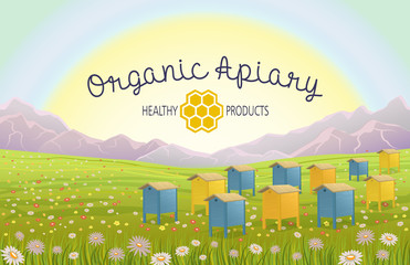 Apiary in alpine meadows in mountains. Honey Farm. Beehive set. Bee honeycomb. Rustic landscape. Fields of green grass. Production of natural organic products.