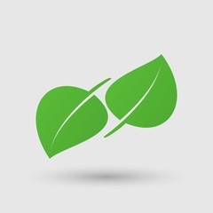 leaf vector icon