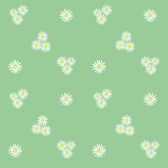 Daisies seamless pattern