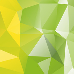 Fototapeta na wymiar Low poly triangulated background. Colorful. Vector illustration.