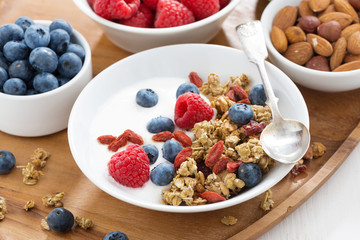 homemade muesli with fresh berries and yogurt, close-up