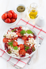 Italian salad with cherry tomatoes, cottage cheese, mint pesto 