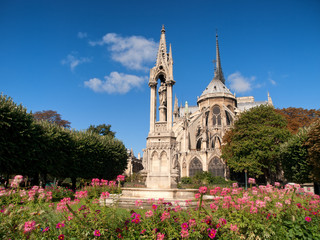 Fototapeta na wymiar Notre Dame from Square du Jean XXIII, Paris. Horizontal shot, full length, flowers on foreground