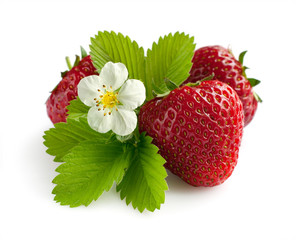 Ripe strawberry with leaves and blossom