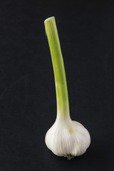 Garlic, fresh organic on black background