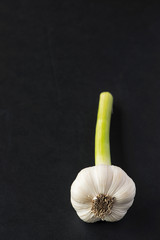 Garlic, fresh organic on black background