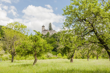 Arlesheim, Dorf, Burg, Schloss Birseck, Birseck, Dornach, Ermitage, Spazierweg, Wanderweg,...