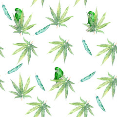 patterns with a parrot.  The picture green parrot and leaf, seamless pattern watercolor
