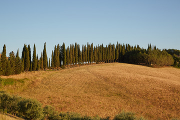 Tuscany